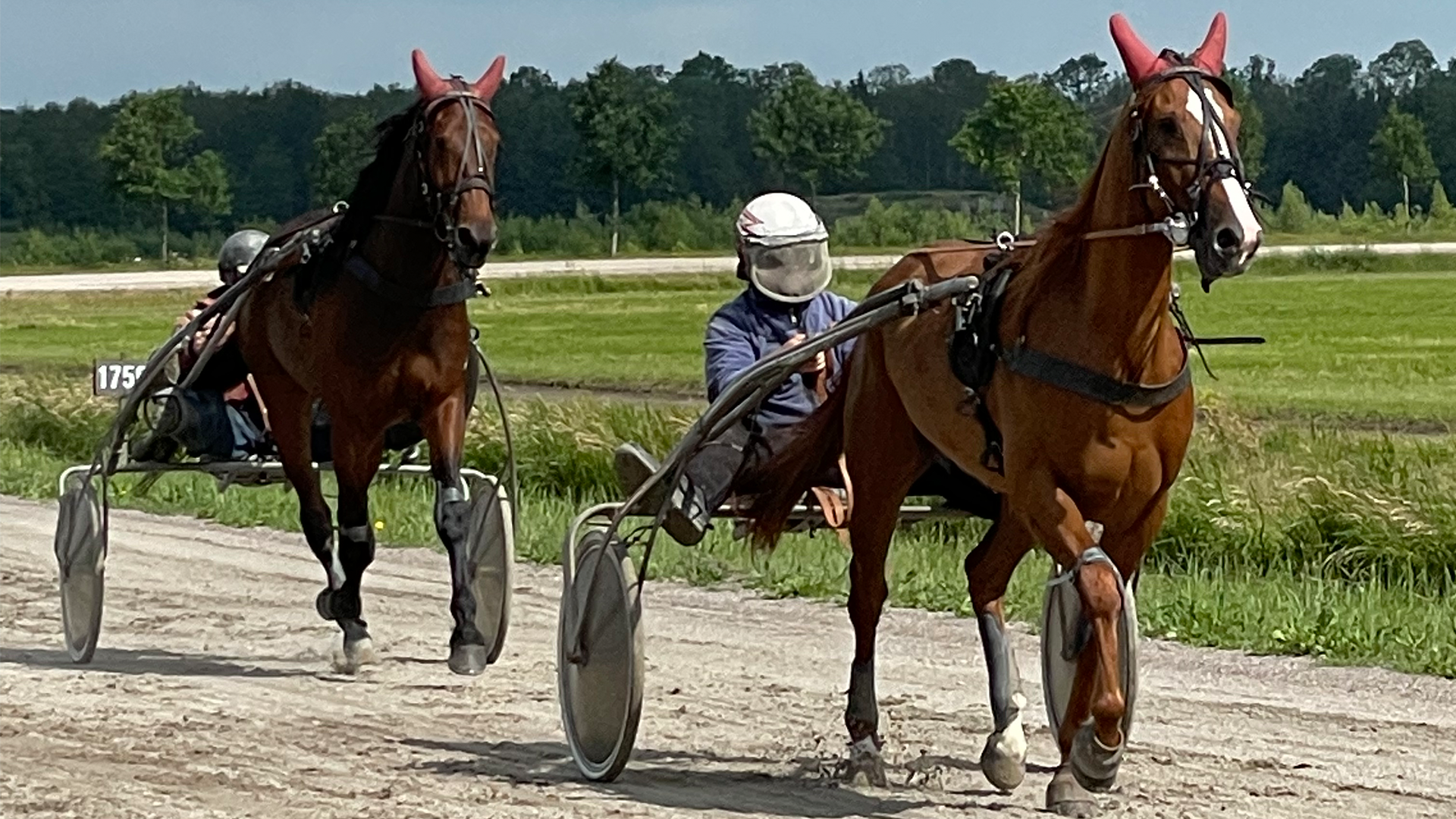 What we already knew is now known to the world!